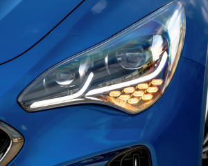 Kia Stinger blue details  (19)